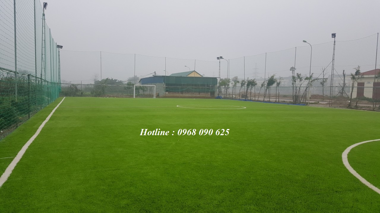 cỏ nhân tạo sân bóng