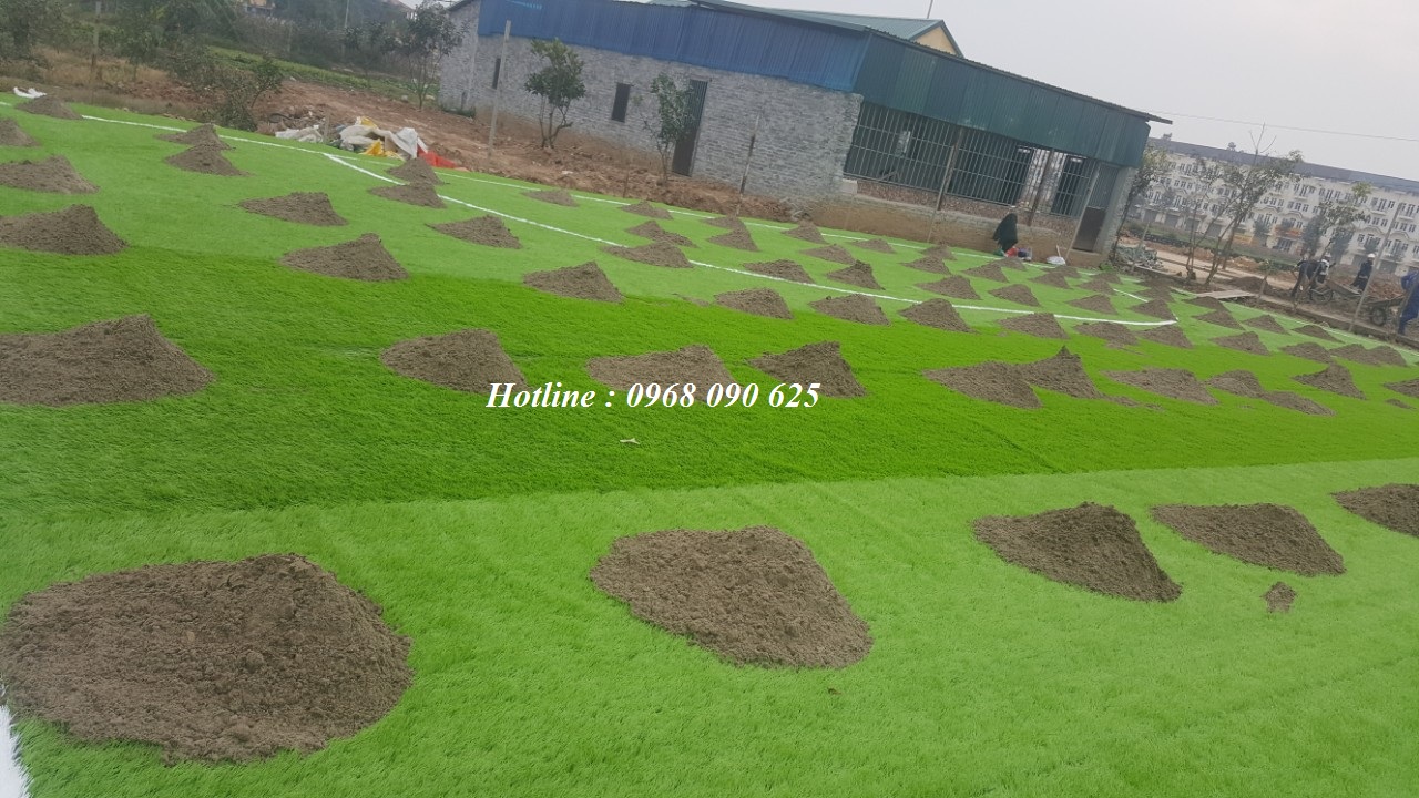 cỏ nhân tạo, cỏ nhân tạo sân bóng, cỏ nhân tạo sân vườn