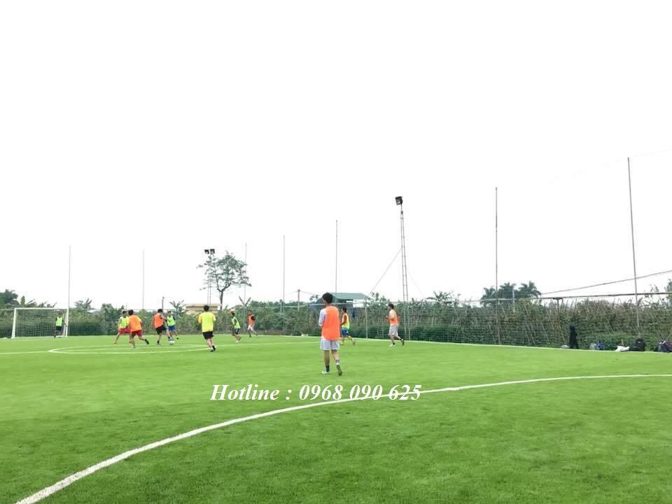 cỏ nhân tạo, cỏ nhân tạo sân bóng, cỏ nhân tạo sân vườn