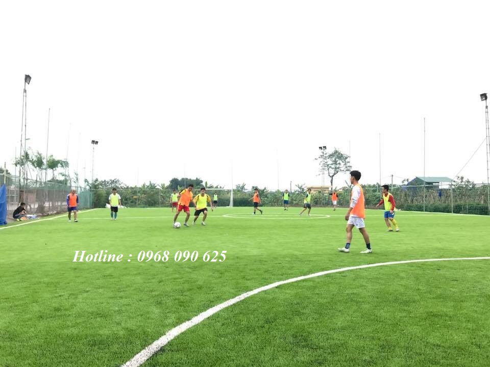 cỏ nhân tạo, cỏ nhân tạo sân bóng, cỏ nhân tạo sân vườn