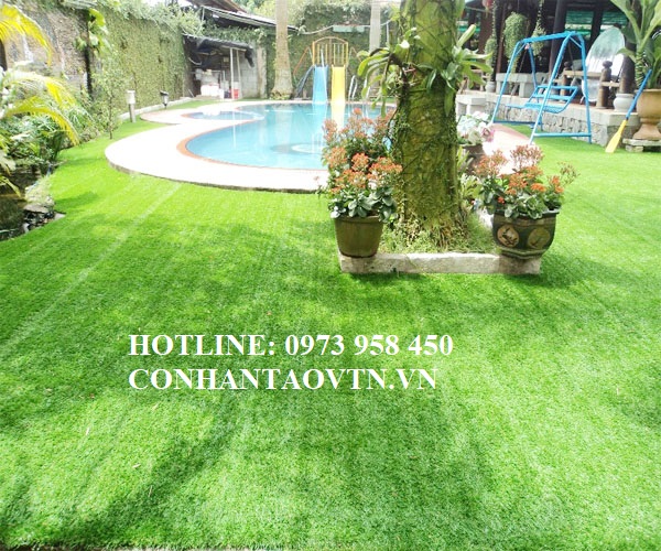 cỏ nhân tạo