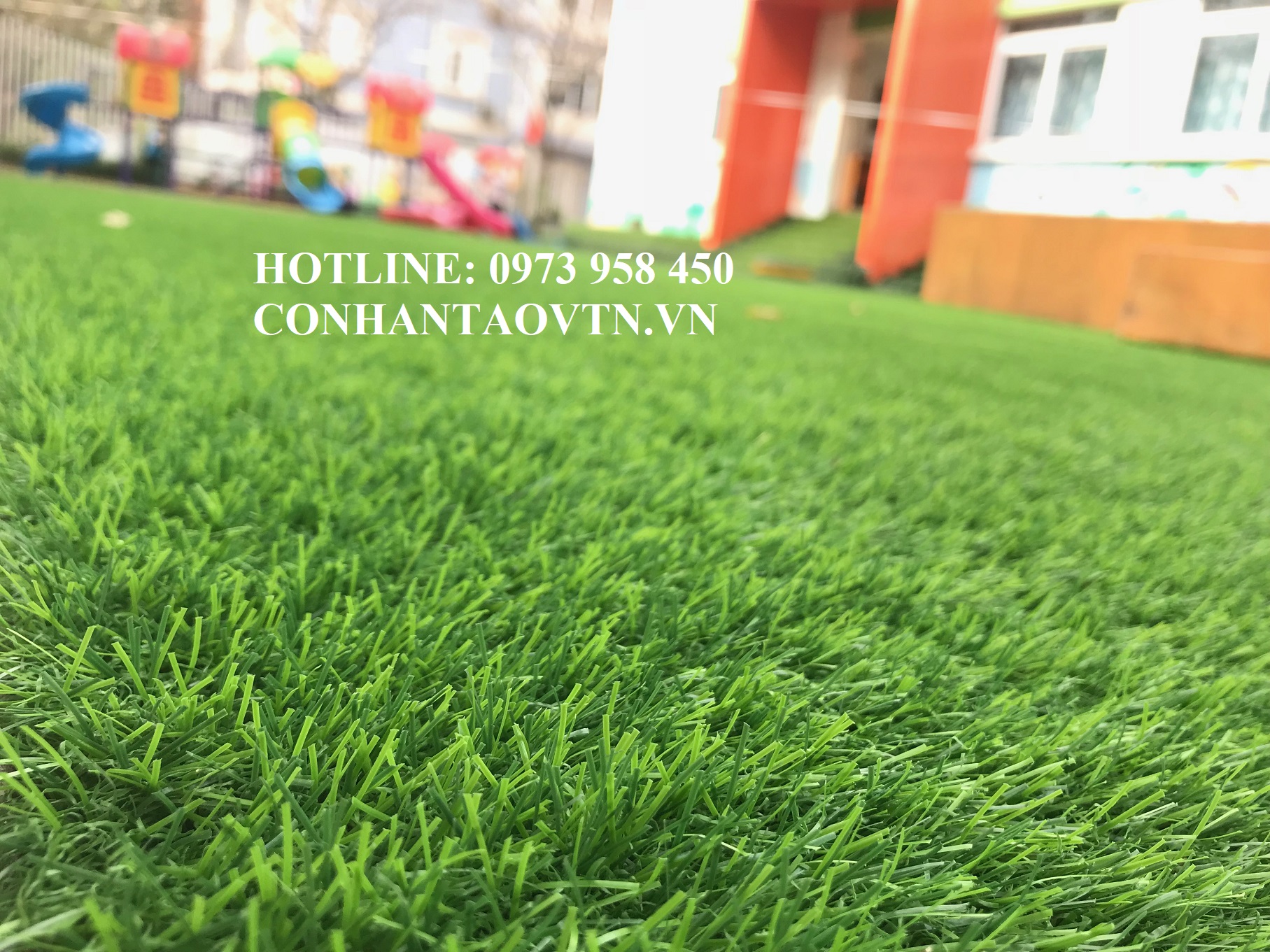 cỏ nhân tạo
