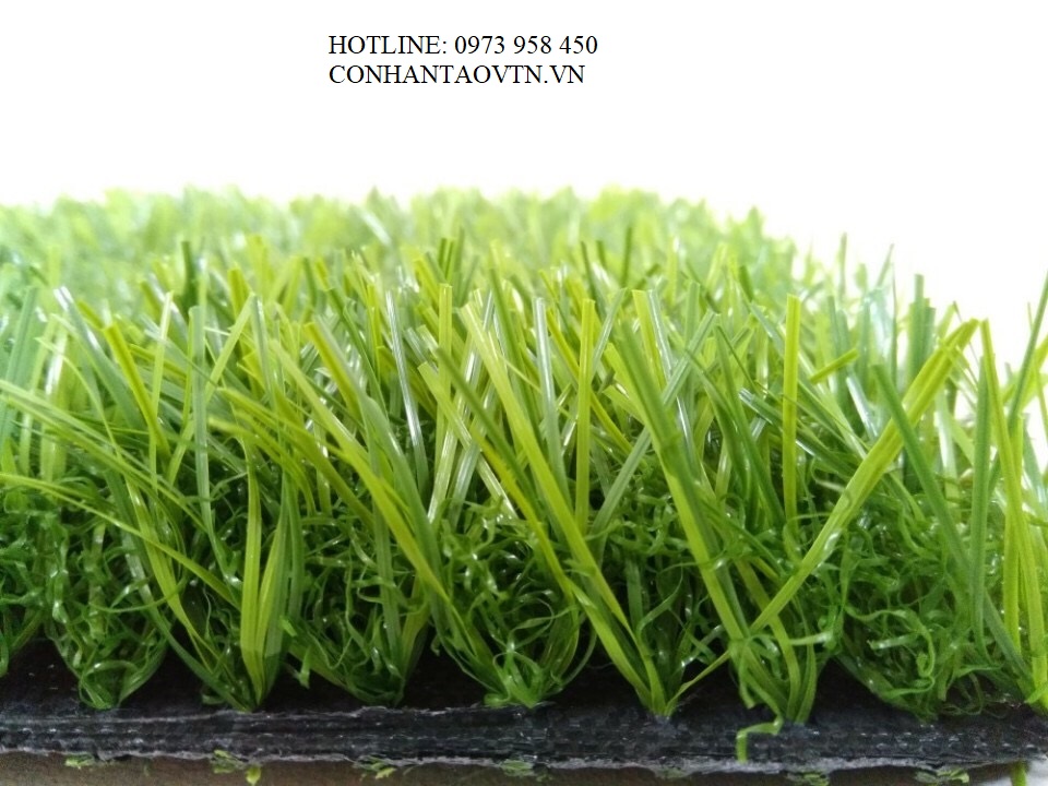 cỏ nhân tạo sân vườn