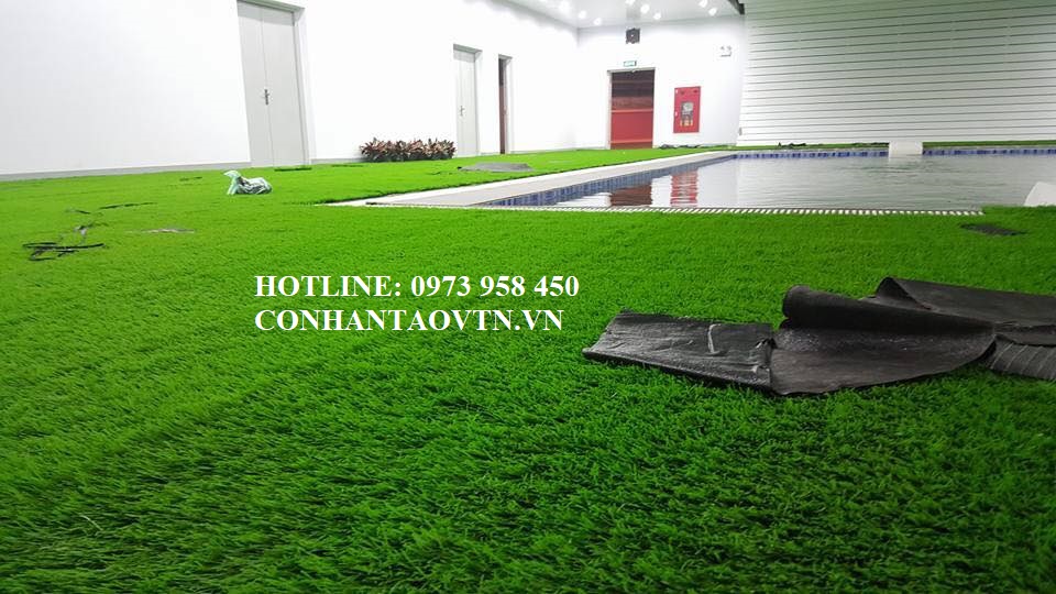 cỏ nhân tạo sân vườn