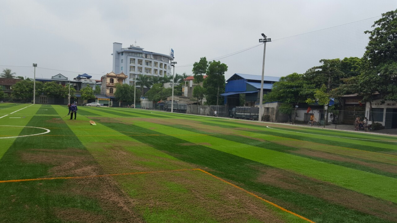 cỏ nhân tạo tỉnh hòa bình