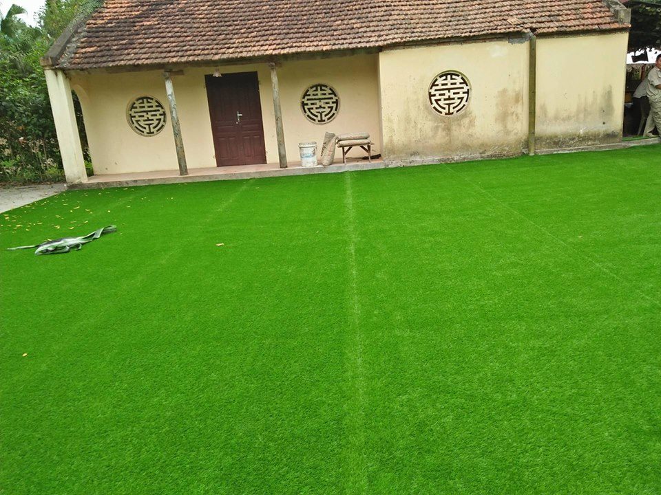 cỏ nhân tạo sân vườn