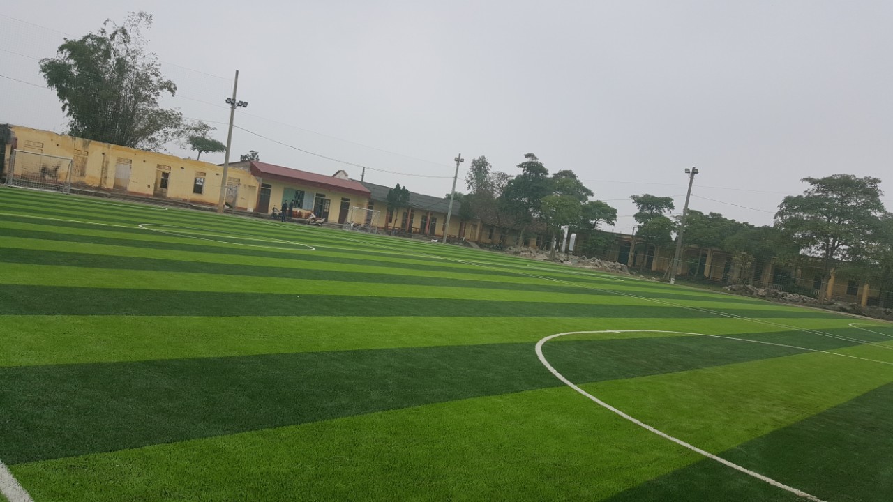 cỏ nhân tạo hà nam