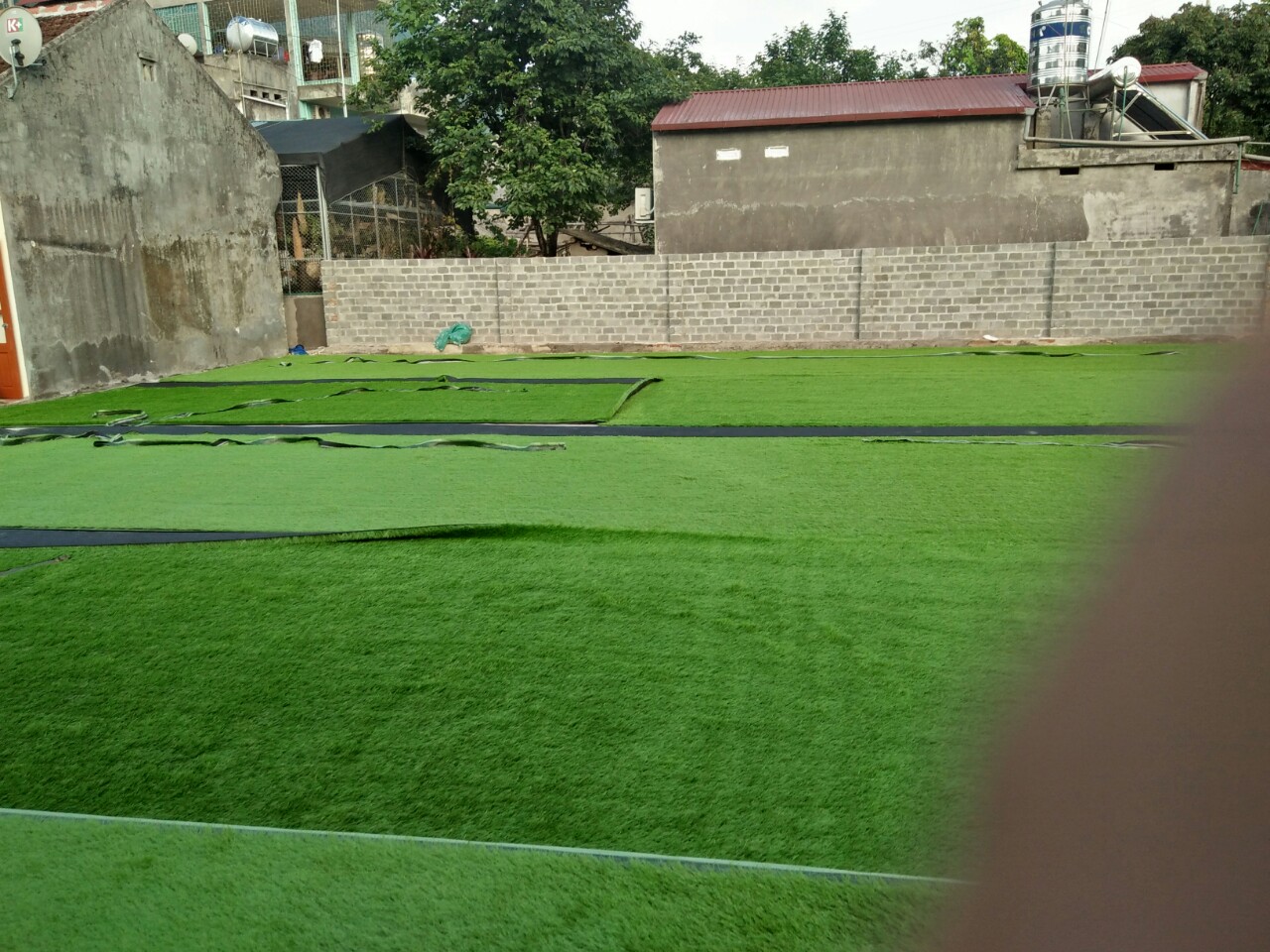 cỏ nhân tạo sân bóng vtn 18D12000