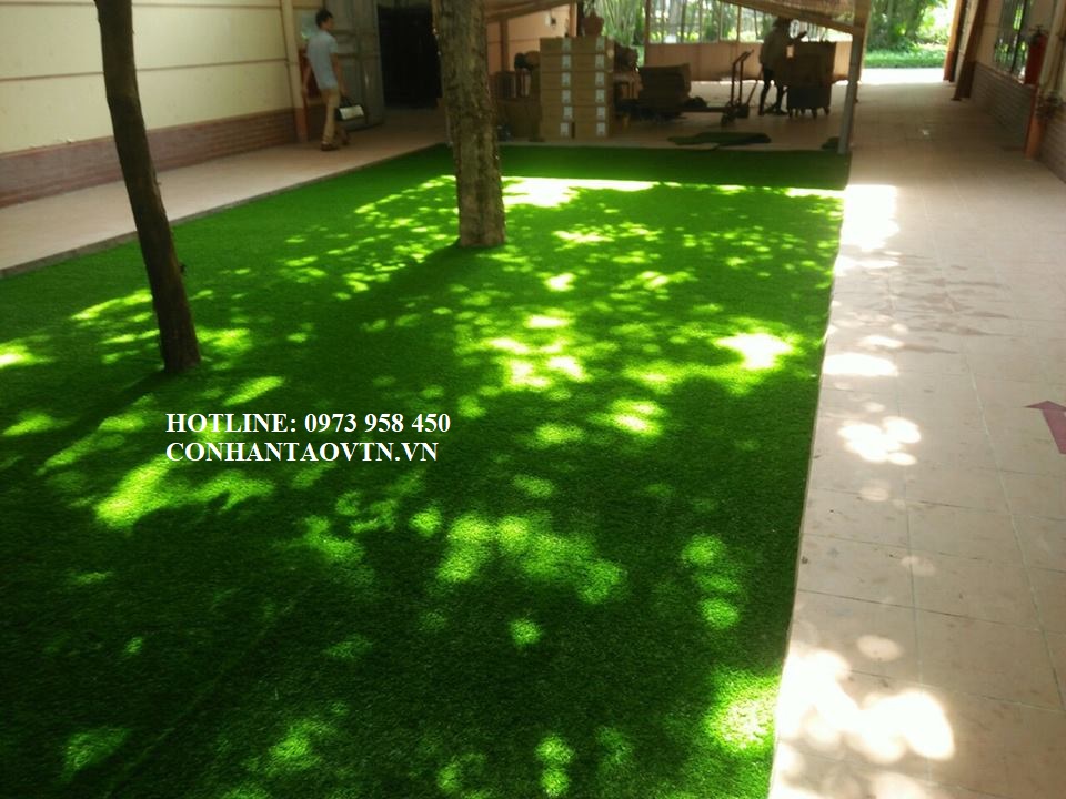 cỏ nhân tạo sân vườn