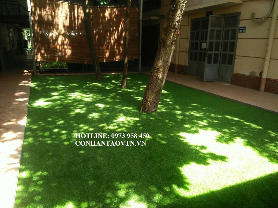 cỏ nhân tạo sân vườn