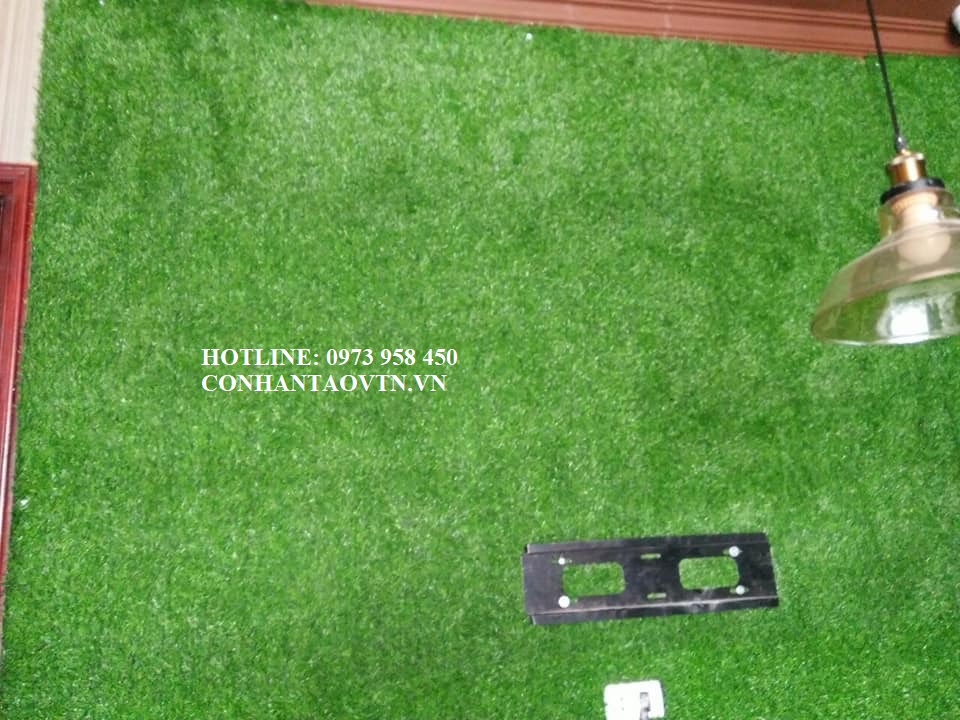 cỏ nhân tạo