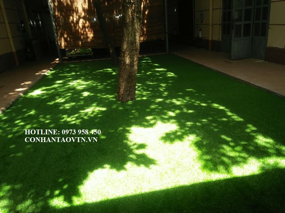 cỏ nhân tạo sân vườn