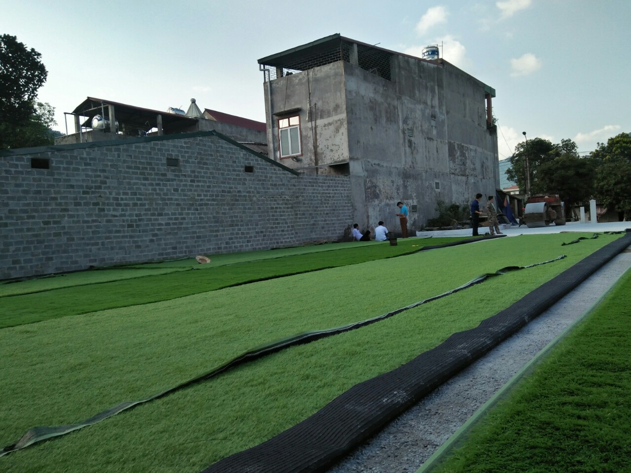 cỏ nhân tạo sân bóng vtn 18D12000