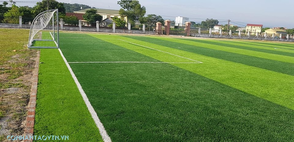cỏ nhân tạo sân bóng tỉnh nghệ an