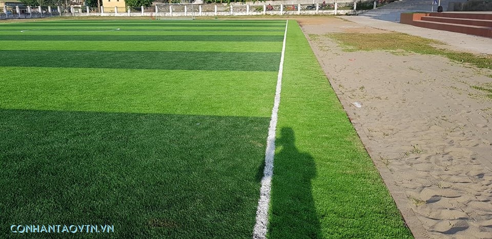 cỏ nhân tạo sân bóng tỉnh nghệ an