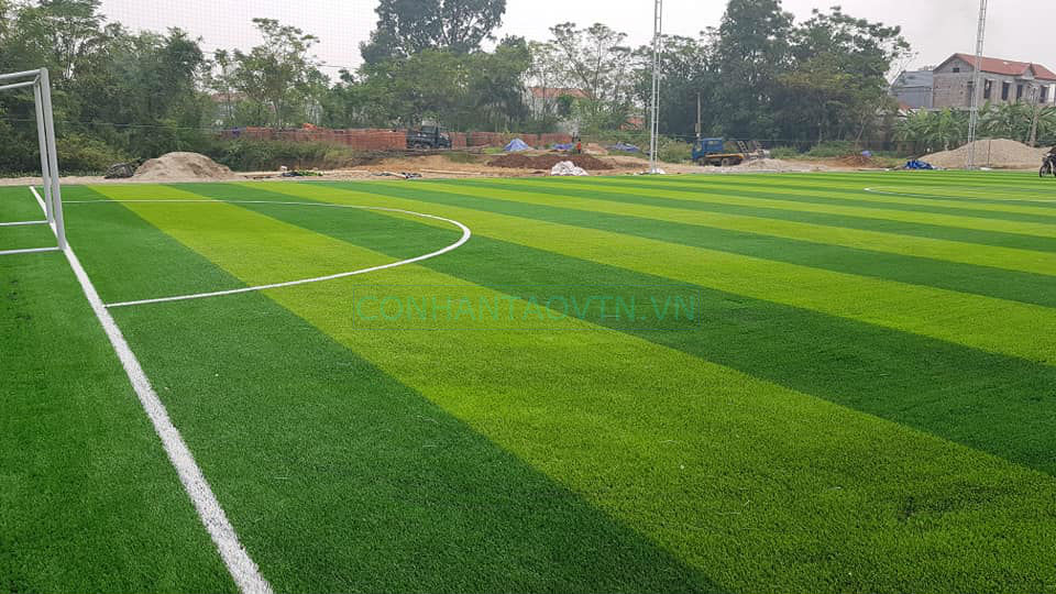 cỏ nhân tạo vĩnh phúc