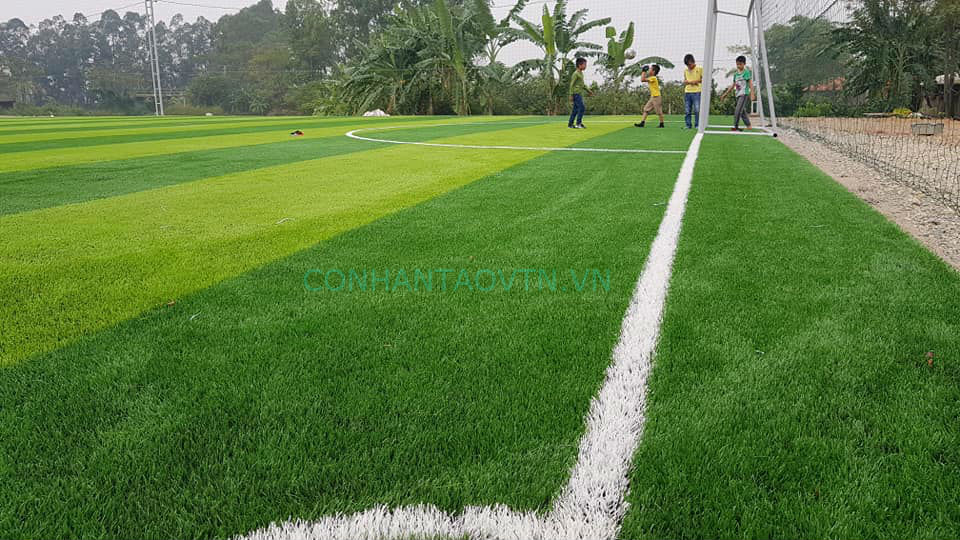 cỏ nhân tạo vĩnh phúc