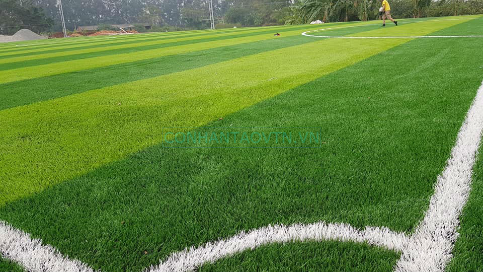 cỏ nhân tạo vĩnh phúc