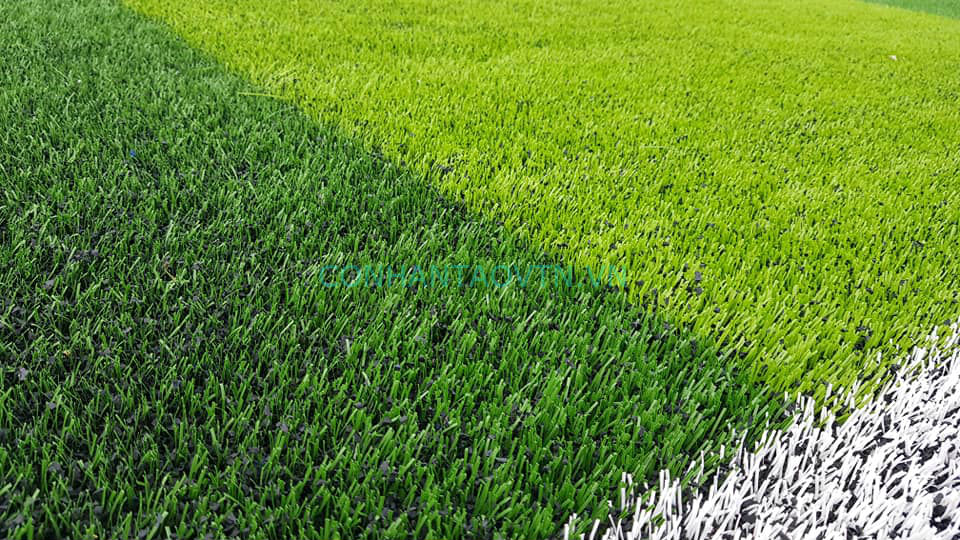 cỏ nhân tạo vĩnh phúc