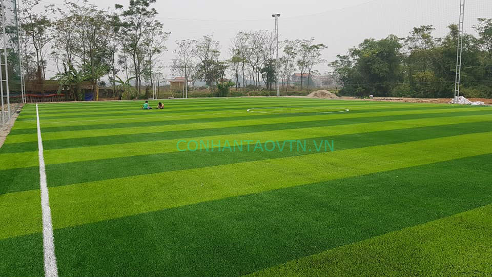 cỏ nhân tạo vĩnh phúc