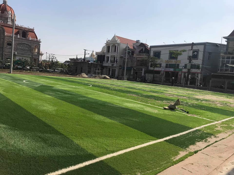 cỏ nhân tạo sân bóng nam định