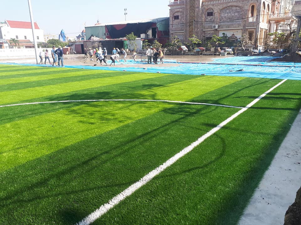 cỏ nhân tạo sân bóng nam định