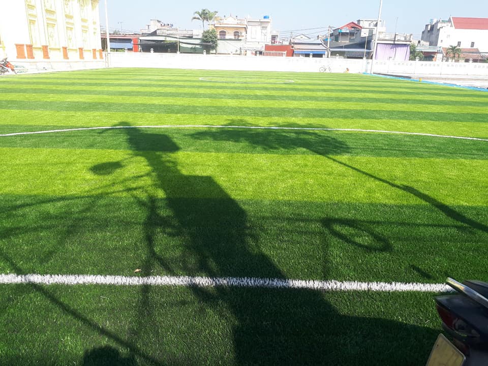 cỏ nhân tạo sân bóng nam định