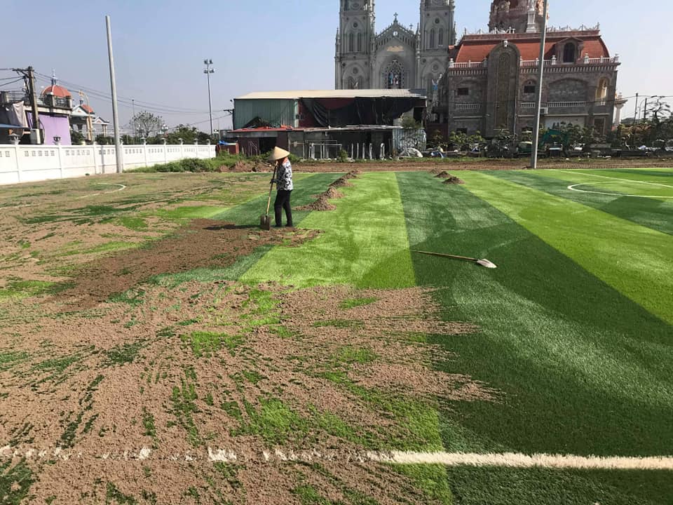 cỏ nhân tạo sân bóng nam định