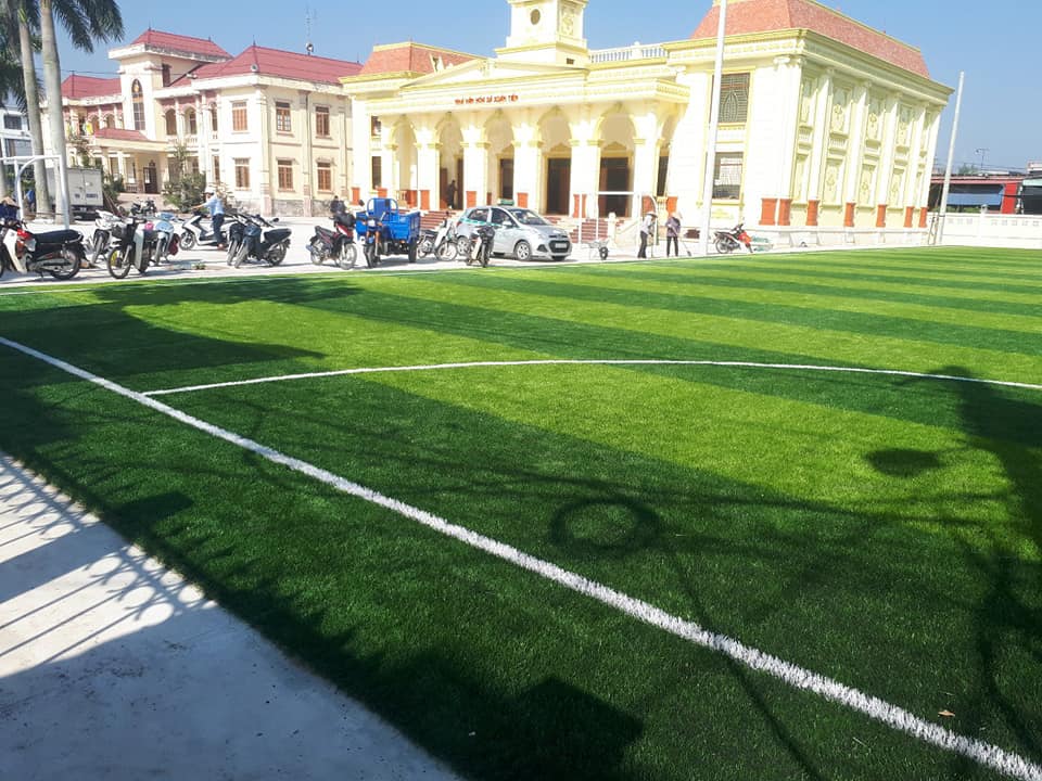 cỏ sân bóng nam định