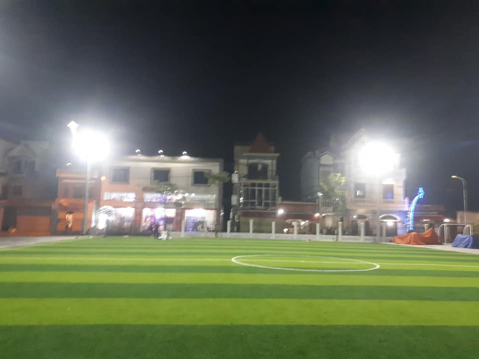 cỏ sân bóng nam định