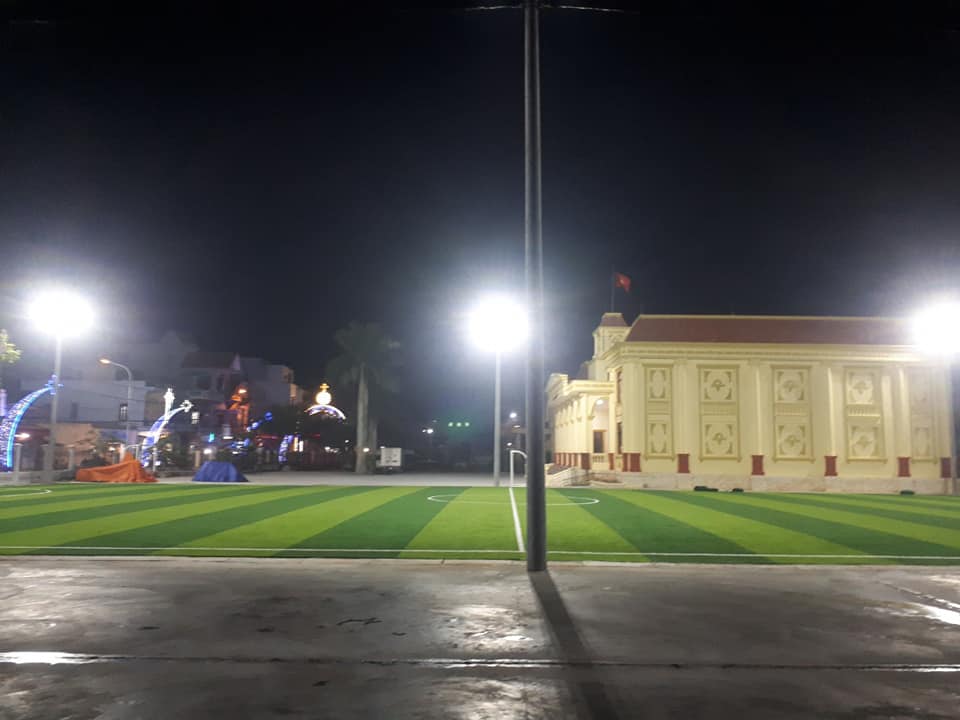 cỏ sân bóng nam định