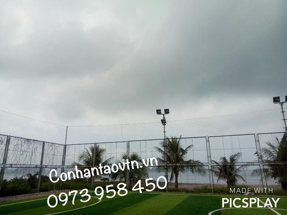 cỏ nhân tạo sân bóng