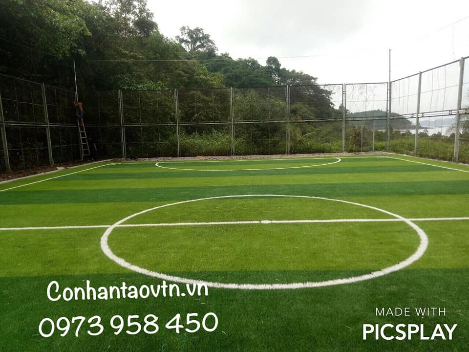 cỏ nhân tạo sân bóng