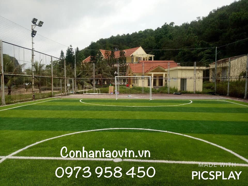 cỏ nhân tạo sân bóng