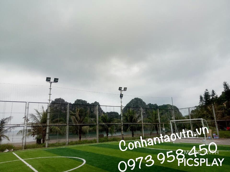 cỏ nhân tạo sân bóng