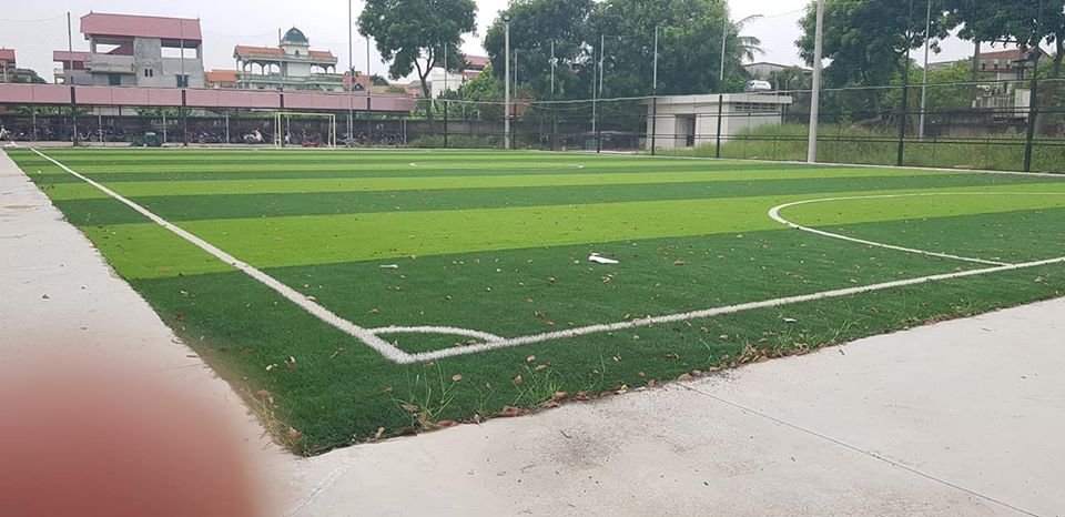 cỏ nhân tạo sân bóng