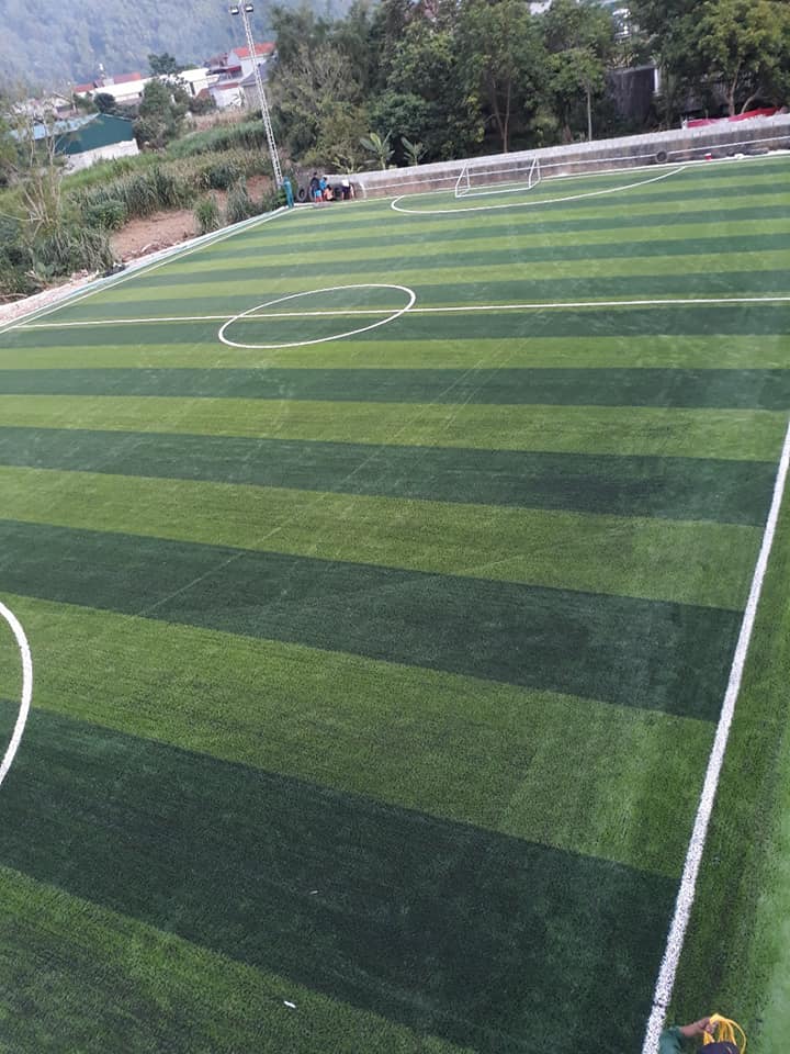 cỏ nhân tạo sân bóng