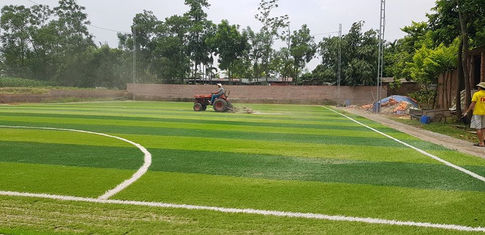 cỏ nhân tạo sân bóng