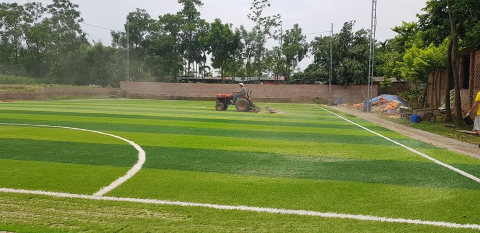cỏ nhân tạo sân bóng
