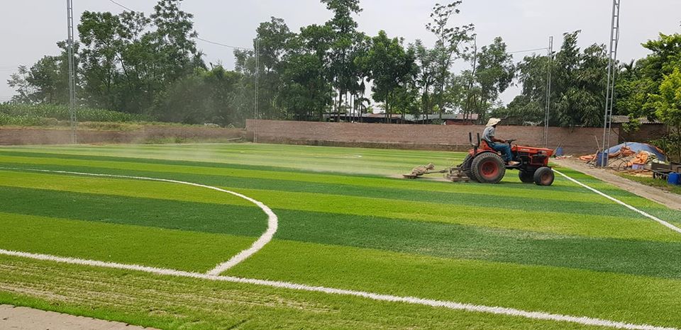 cỏ nhân tạo sân bóng