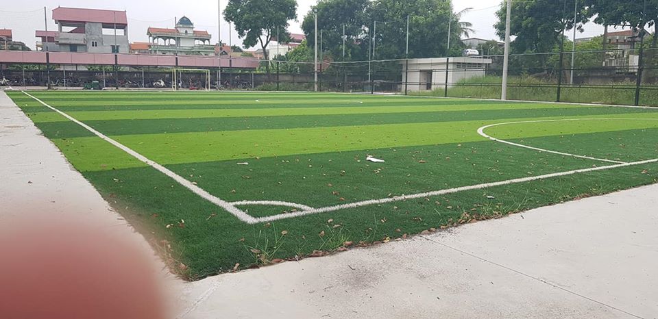cỏ nhân tạo sân bóng