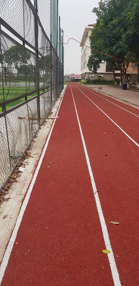 cỏ nhân tạo sân bóng