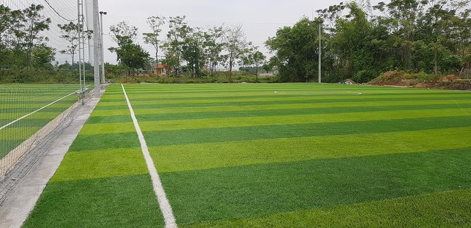 cỏ nhân tạo sân bóng