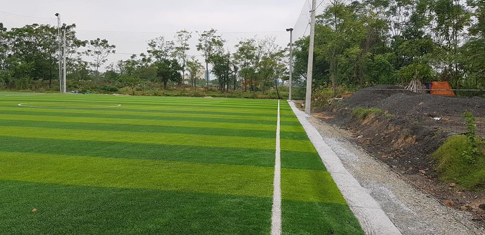 cỏ nhân tạo sân bóng