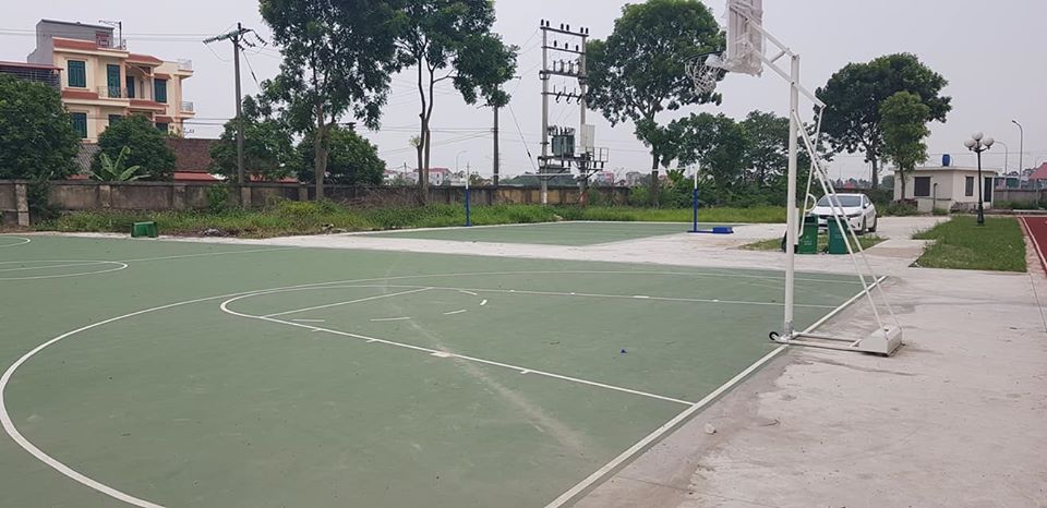 cỏ nhân tạo sân bóng