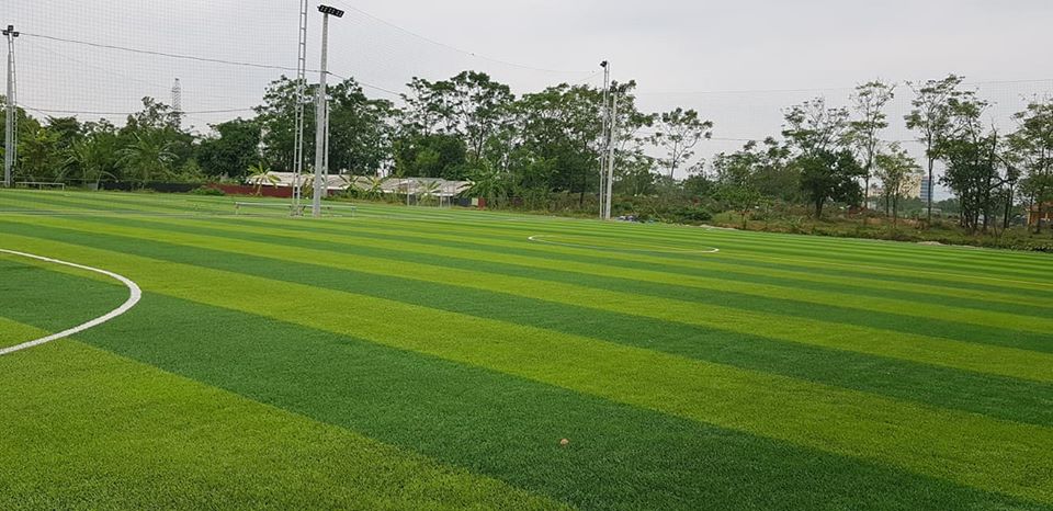 cỏ nhân tạo sân bóng