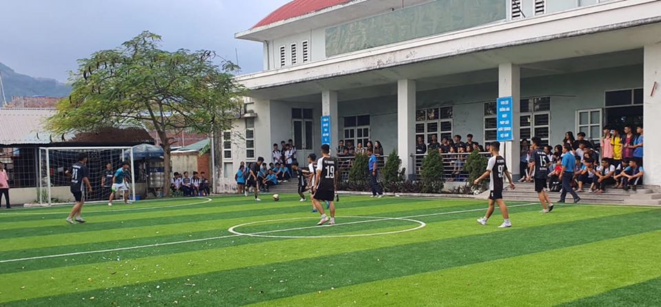 cỏ nhân tạo sân bóng