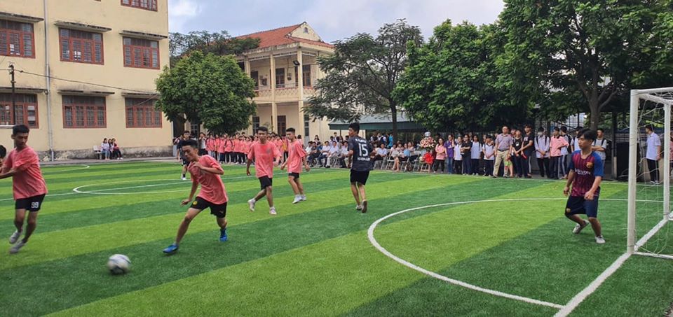 cỏ nhân tạo sân bóng