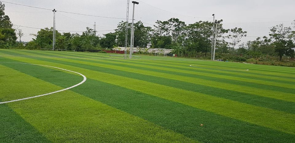 cỏ nhân tạo sân bóng