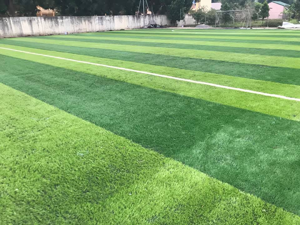 cỏ nhân tạo sân bóng